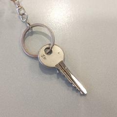 Nøkkel, som rapportert av Regio Limburg - Leuven ved bruk av iLost