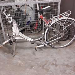 Bicykel Oxford Wit/grijze letters, ako bolo nahlásené Fietsdepot Hasselt pomocou iLost