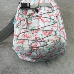 Sac à dos, a été signalé par Arriva Achterhoek-Rivierenland utilisant iLost