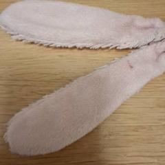 Peluche Rose, a été signalé par De Tovertuin utilisant iLost