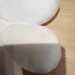 Párna, amint azt Beekse Bergen Resorts en Hotel az iLost segítségével jelentette.