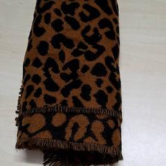 Xala, gisa salatu by Arriva Oost-Brabant iLost erabiliz