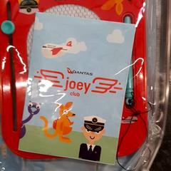 شخصيات الأكشن والدمى والحيوانات المحشوة والدمى، كما تم الإبلاغ عنه بواسطة Rotterdam The Hague Airport عبر iLost