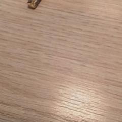 Klucz, zgłoszono przez Qbuzz Fryslân przy użyciu iLost