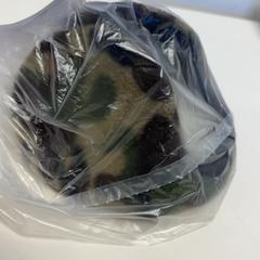 Ohrievač uší, ako bolo nahlásené ibis Styles Rotterdam Ahoy pomocou iLost