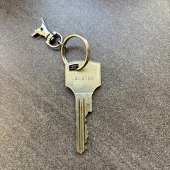 Huissleutel an iLost gemeldet