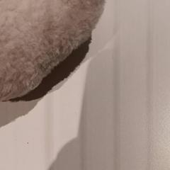 Plüss, amint azt De Efteling az iLost segítségével jelentette.