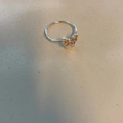 반지 Zilver vlinder, iLost를 사용하여 Pathé Schouwburgplein에 보고됨