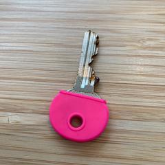 Key roze, as reported by Gemeente Baarn using iLost