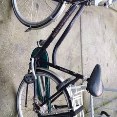 Dámské kolo marathon, jak nahlášeno Stadswerk072 pomocí iLost