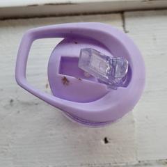 Cunca para beber Paars, segundo informou DierenPark Amersfoort usando iLost