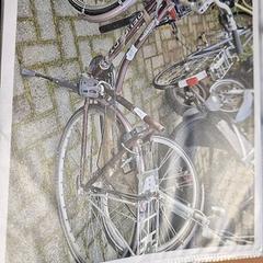 Damcykel, rapporterat av Gemeente Roermond med iLost