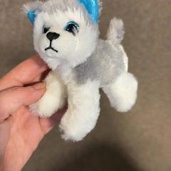 Kosete leke Wolf, som rapportert av Burgers' Zoo ved bruk av iLost