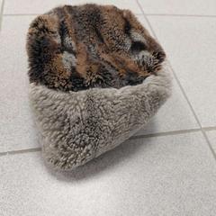 Beanie bruin, jak nahlášeno Regio Oost-Vlaanderen pomocí iLost