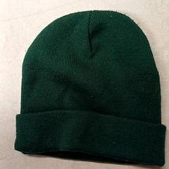 Cap Groen, come riportato da Qbuzz GD Groningen Peizerweg utilizzando iLost