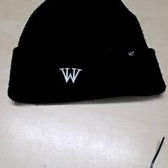 Txapela, gisa salatu by Arriva Oost-Brabant iLost erabiliz