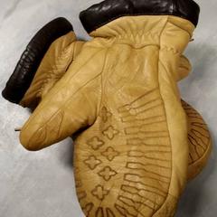 Hanske Bruine, som rapportert av Arriva Friesland / Groningen ved bruk av iLost