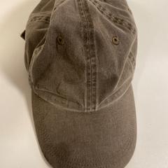 Pet, iLost를 사용하여 Pathé Schiedam에 보고됨