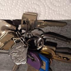 Sleutelbos, som rapporterats till iLost