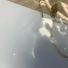 Ørering, som rapportert av Diakonessenhuis Utrecht ved bruk av iLost