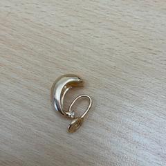 Oorbel, zoals gemeld door Schönbrunn "Group Center" met iLost