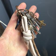 Sleutelbos がiLostに報告されました