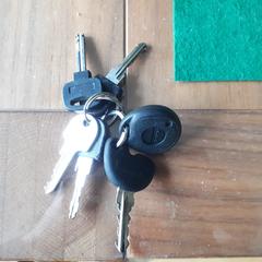 Sleutelbos, iLost에 보고됨