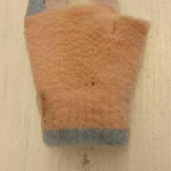 장갑 Pasteltinten, iLost를 사용하여 DierenPark Amersfoort에 보고됨