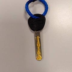 Chave, como reportado por Vrije Universiteit Amsterdam utilizando o iLost