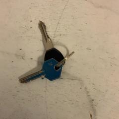 Klucz Sleutels 2, zgłoszono przez Artis przy użyciu iLost