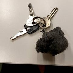 Sleutels, segons ha informat Gemeente Hilversum mitjançant iLost