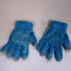 Rękawiczki, zgłoszono przez Diergaarde Blijdorp przy użyciu iLost