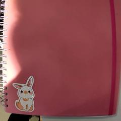 Blocco da scrittura, come riportato da Bibliotheek Neude (Utrecht) utilizzando iLost