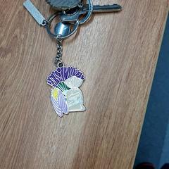 Sleutel, zoals gemeld door IKEA Paris Nord Roissy met iLost