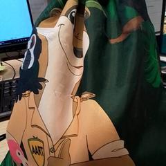 Motxilla Groen, segons ha informat Qbuzz Fryslân mitjançant iLost