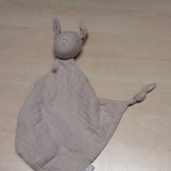 كنوفل، كما تم الإبلاغ عنه بواسطة Arriva Oost-Brabant عبر iLost