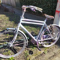 paarse fiets, som rapportert til iLost