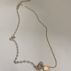 Collaret, segons ha informat IKEA鶴浜 mitjançant iLost