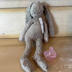 Knuffel & Teat, as reported by Familie Resort Molenwaard using iLost