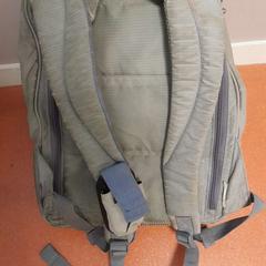 Bag gris, as reported by TCL using iLost