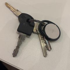 Brelok do kluczy, zgłoszono przez Pathé de Kuip przy użyciu iLost