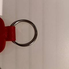 Sleutelhanger, zoals gemeld door De Efteling met iLost