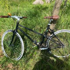 Fiets, as reported to iLost