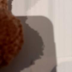 Knuffel, jak nahlášeno De Efteling pomocí iLost