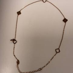 Collar, ha sido reportado por Diergaarde Blijdorp con iLost