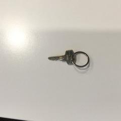 Llave de casa, ha sido reportado por Gemeente Weert con iLost