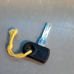 Clau, segons ha informat Diergaarde Blijdorp mitjançant iLost