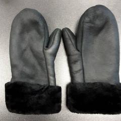 Votter zwart, som rapportert av Arriva Vechtdallijnen ved bruk av iLost