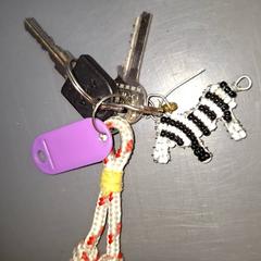 Klíče, jak nahlášeno Qbuzz DMG pomocí iLost