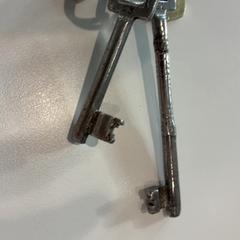 Klíče Zilver, jak nahlášeno Gemeente Waalwijk pomocí iLost